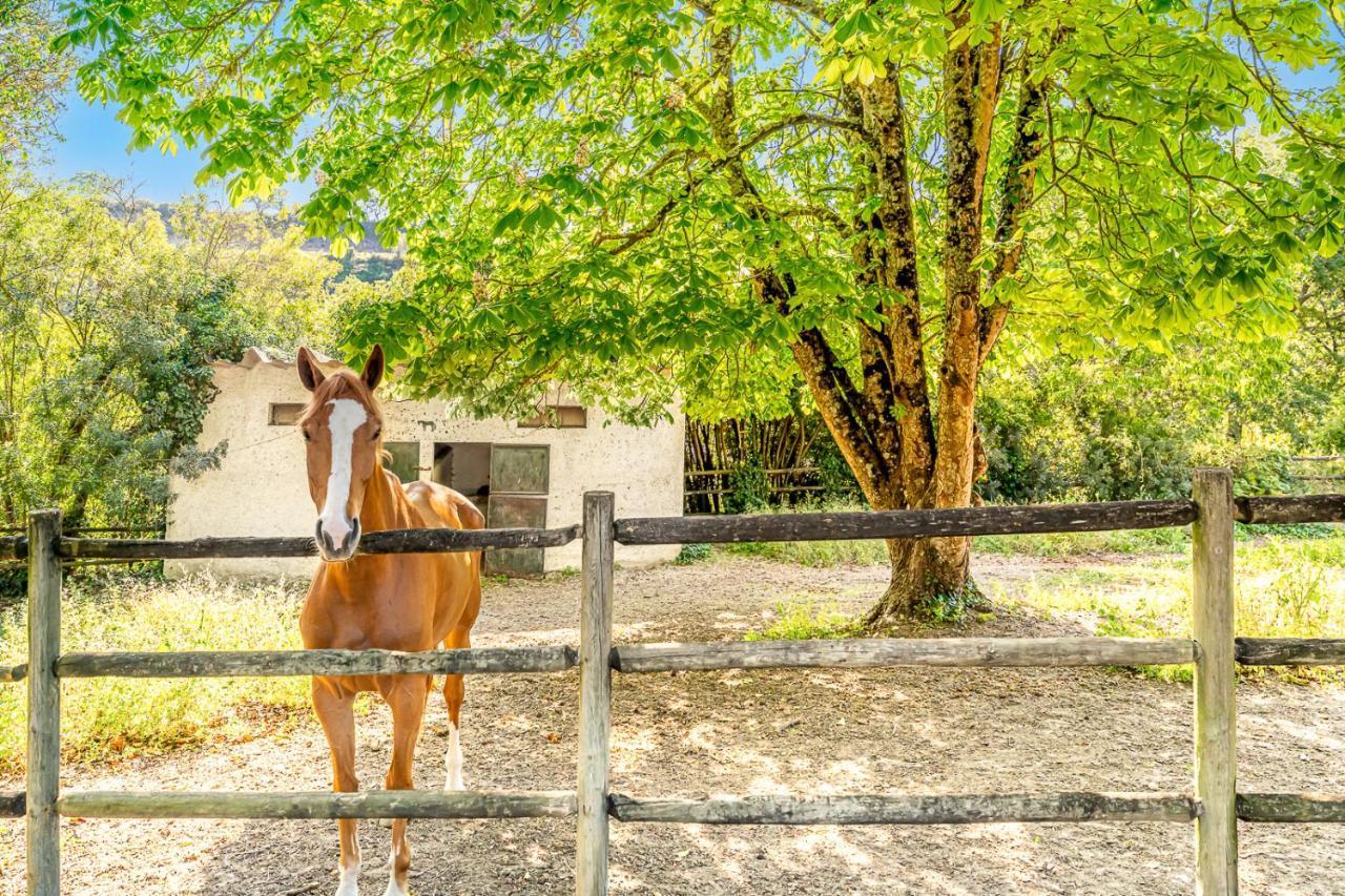 Quinta Do Boicao Villa Lissabon Buitenkant foto